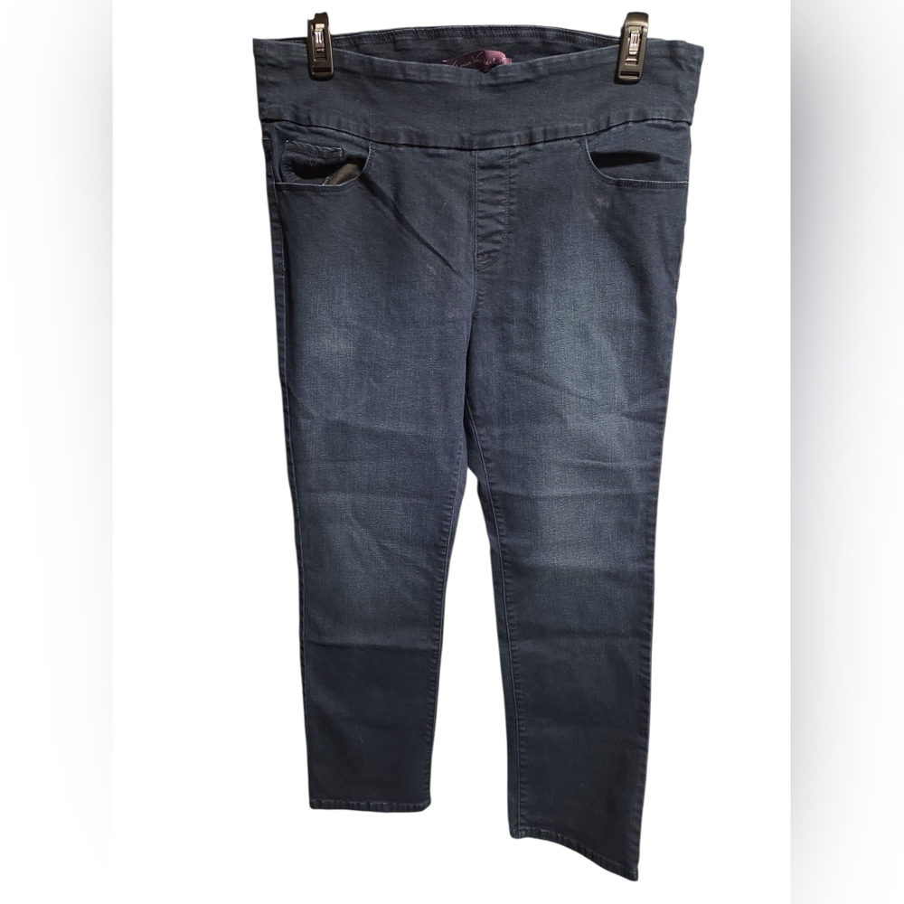 Gloria Vanderbilt Midnight Blue Skinny Jeans